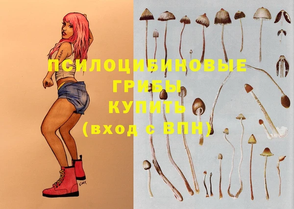 трава Бугульма