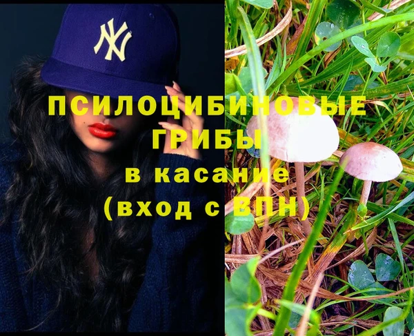 трава Бугульма