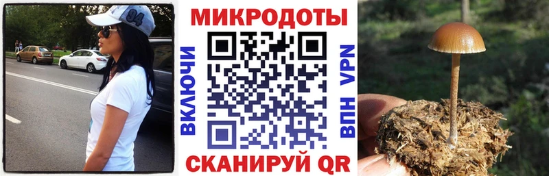 купить  сайты  Каменногорск  Псилоцибиновые грибы прущие грибы 